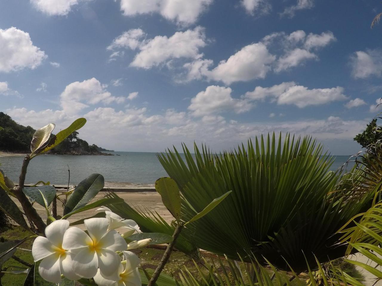 Dolphin Bay Beach Resort كو بانغان المظهر الخارجي الصورة